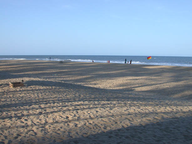 DSCN3217