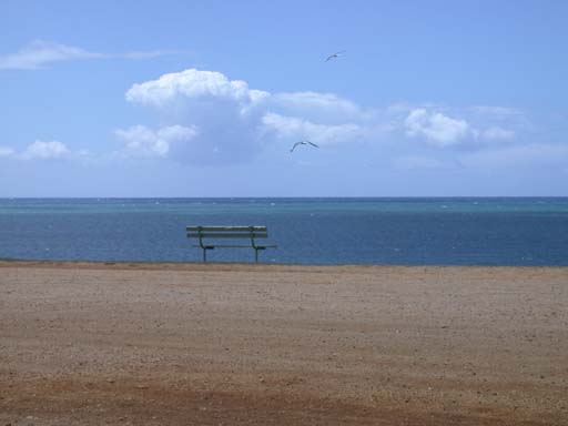 DSCN1926