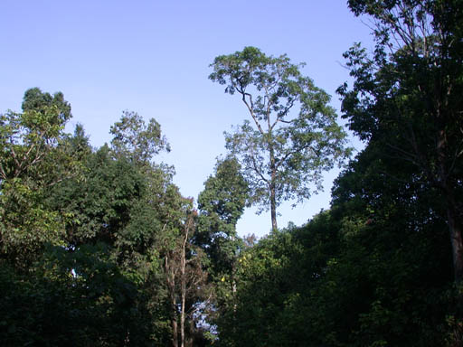 DSCN2397