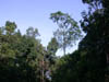 DSCN2397