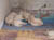 DSCN1759