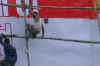 Dscn0077k.jpg (36465 bytes)